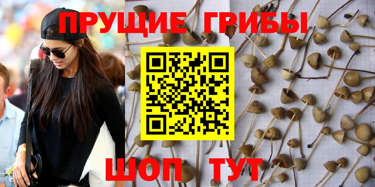 Псилоцибиновые грибы мухоморы  Вход с VPN  Белово 