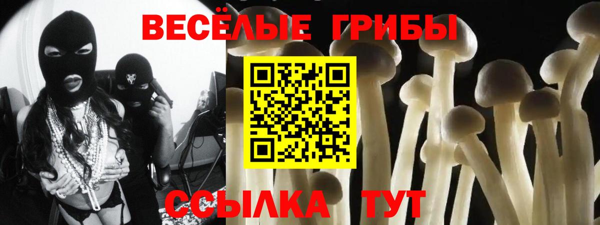 Галлюциногенные грибы Psilocybe Белово
